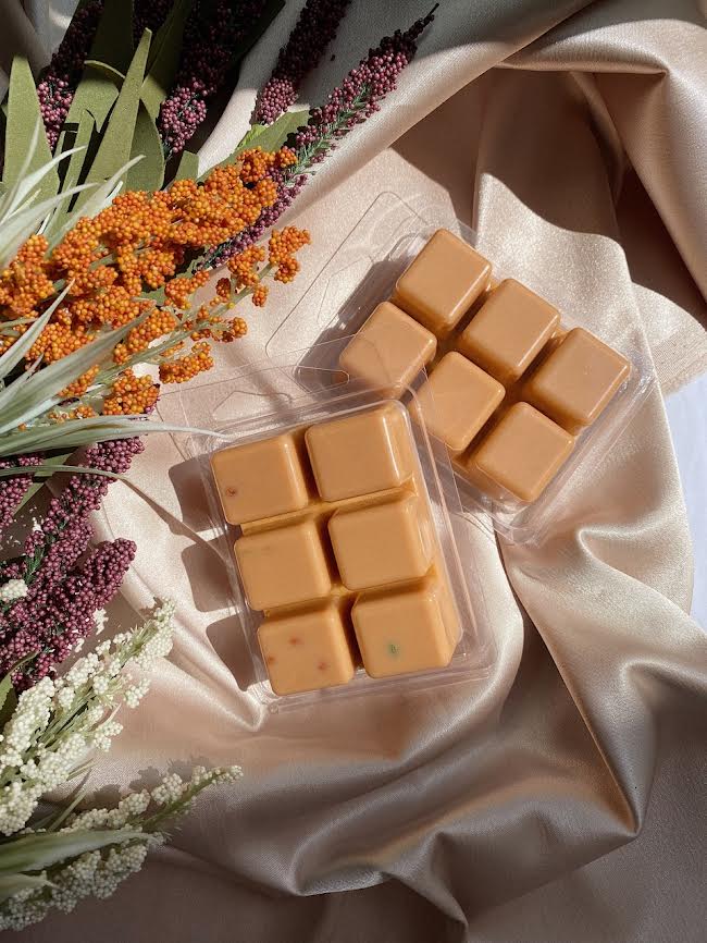 Pottsfield - 3 oz Soy Wax Melt